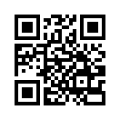 QR CODE 228