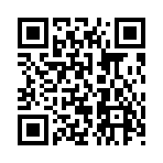 QR CODE 251