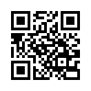 QR CODE 271