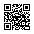 QR CODE 301