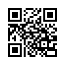 QR CODE 312