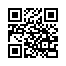 QR CODE 316