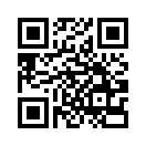 QR CODE 317