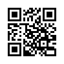 QR CODE 42