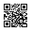 QR CODE 53
