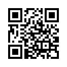 QR CODE 110