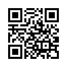 QR CODE 133