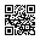 QR CODE 196