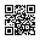 QR CODE 305