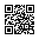 QR CODE 324