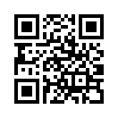 QR CODE 336