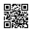 QR CODE 344