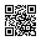 QR CODE 369