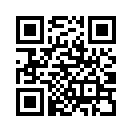 QR CODE 371