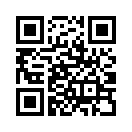 QR CODE 372