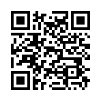 QR CODE 373