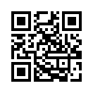 QR CODE 501