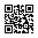 QR CODE 913
