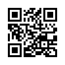 QR CODE 42