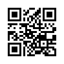 QR CODE 65