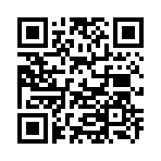 QR CODE 110