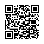 QR CODE 115