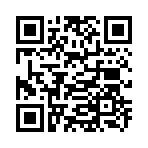 QR CODE 133