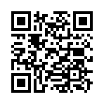 QR CODE 31