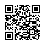 QR CODE 317