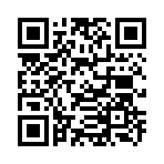 QR CODE 336
