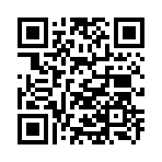 QR CODE 451