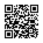 QR CODE 458
