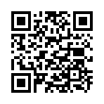 QR CODE 461