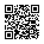 QR CODE 462