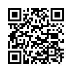 QR CODE 494