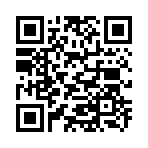 QR CODE 521