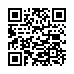 QR CODE 538