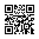 QR CODE 31
