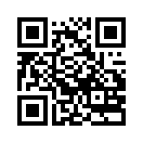 QR CODE 35