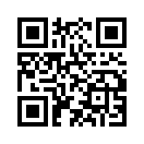 QR CODE 31