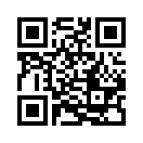QR CODE 31
