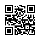 QR CODE 219