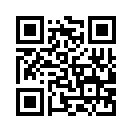 QR CODE 221