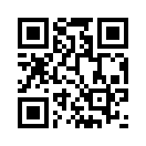QR CODE 275