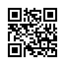 QR CODE 31