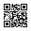 QR CODE 53