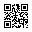 QR CODE 31