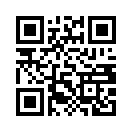 QR CODE 31