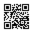 QR CODE 42