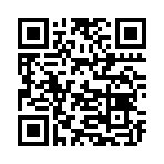 QR CODE 110